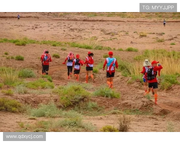 TES重塑辉煌之路精英赛背后的转型与挑战解析