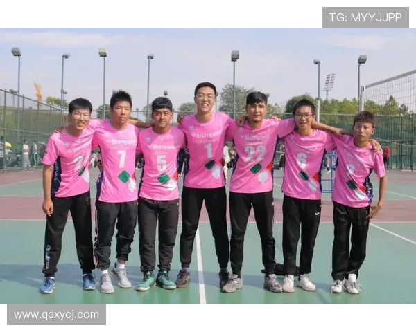 上海排球队在城市联赛中的默契配合与战术执行分析