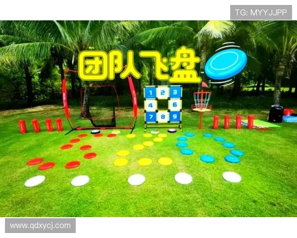 南京飞盘队的防反战术揭秘与深度解析飞盘运动的魅力与策略