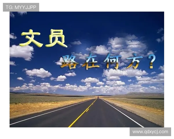 深圳飞盘队个人能力深度解析与发展潜力探讨